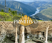 Camino Primitivo with a Dog - Overview