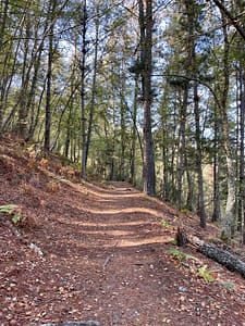 Forest trail on the way towards Grandas de Salime