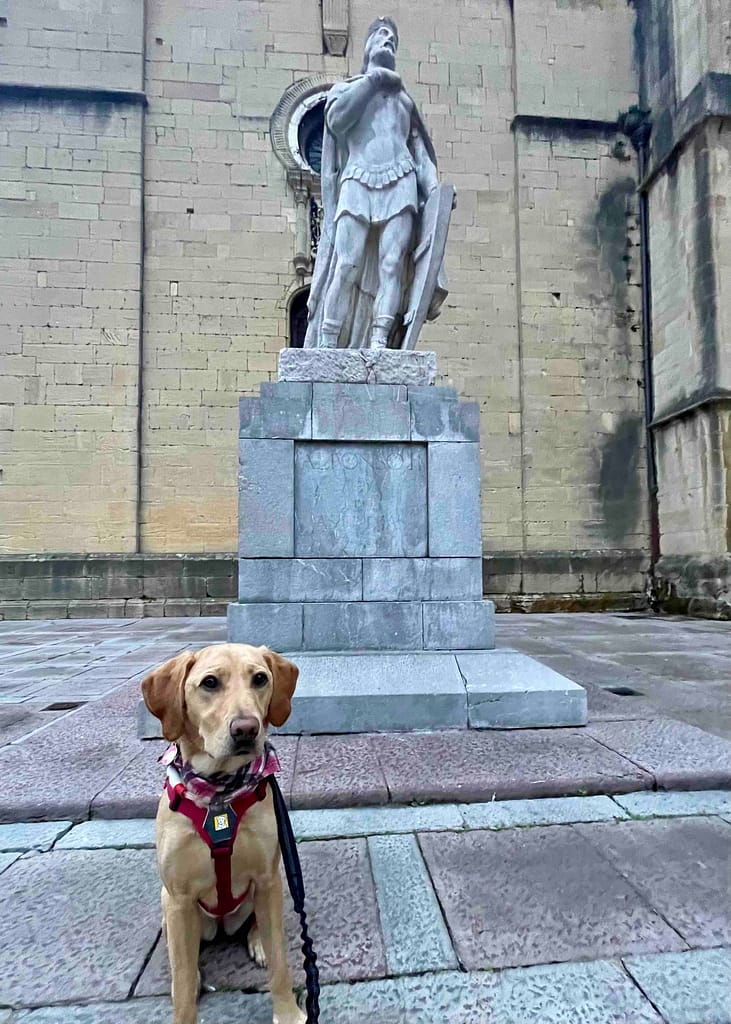 Camino dog in front of the statue of King Alfonso II the Chaste by the Cathedral in Oviedo, the start of Camino Primitivo