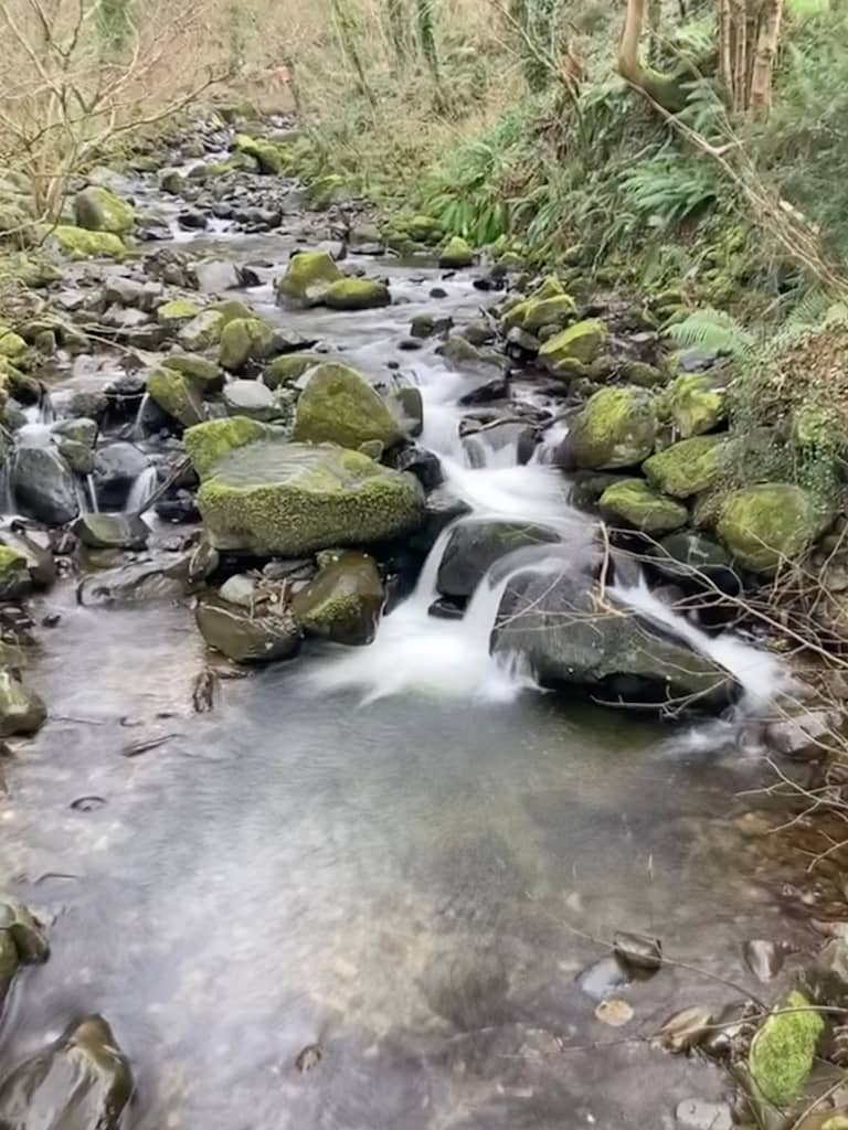 Little stream near Nant y Coed Nature Reserve in Llanfairfechan