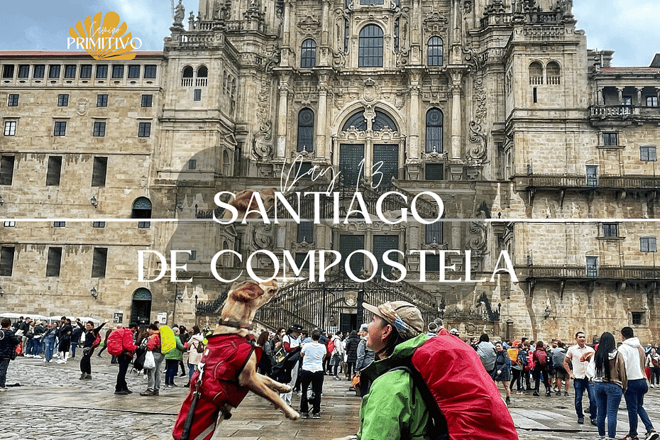 Camino Primitivo with a dog, day 13: A Brea to Santiago de Compostela