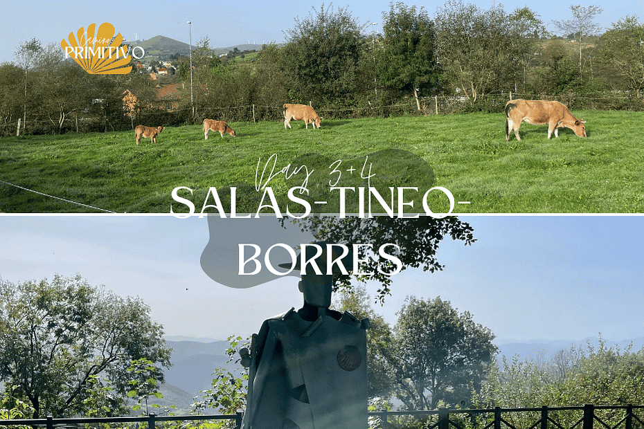 Camino Primitivo with a dog, day 3 and 4: Salas to Tineo to Borres