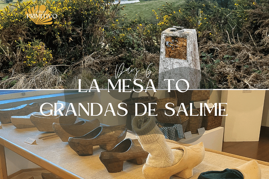 Camino Primitivo with a dog, day 6: La Mesa to Grandas de Salime