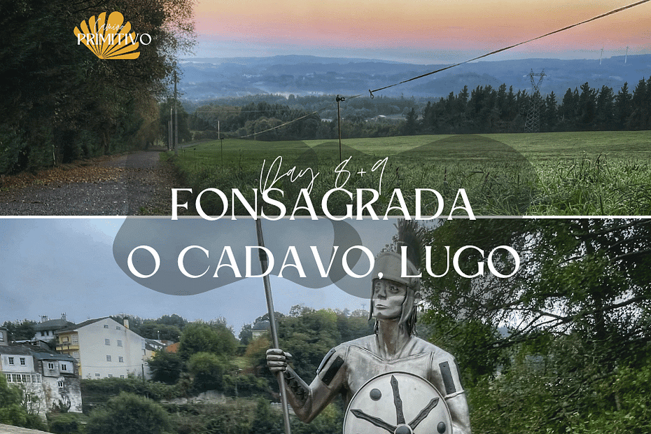 Camino Primitivo with a dog, day 8 and 9: A Fonsagrada to O Cadavo to Lugo