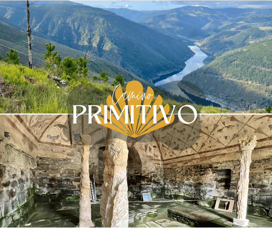Camino Primitivo with a dog - an overview
