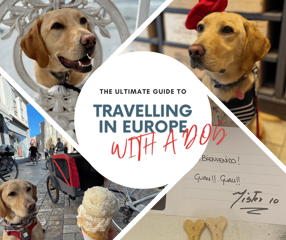 The ultimate guide to travelling in Europe with a dog, look no further, click here for your FREE guide!