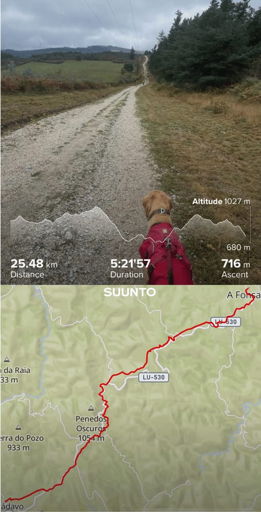 Day 8 on Camino Primitivo from A Fonsagrada to O Cadavo stats and map